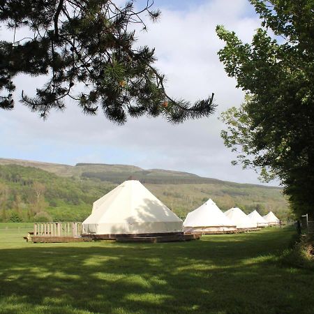 מלון לימוואדי Swanns Bridge Glamping מראה חיצוני תמונה